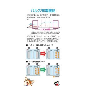 大自工業 メルテック MP-230 セレクト式...の詳細画像3