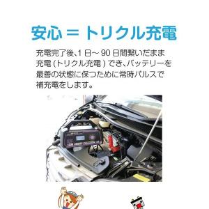 大自工業 メルテック MP-230 セレクト式...の詳細画像4