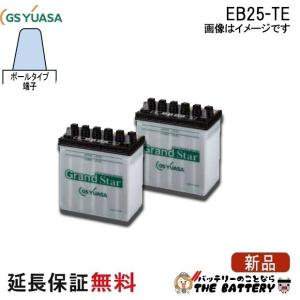 GSユアサ 2個セット 保証付 EB100 TE ポールタイプ テーパー端子