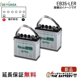 GSユアサ 2個セット 保証付 EB25 TE ポール端子 蓄電池 自家発電 GS