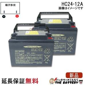 GSユアサ 125D31L バッテリー 自動車 GS YUASA エコアールシリーズ