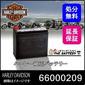 HD66000209 旧65991-82B ハーレーダビットソン 純正 AGM バイクバッテリー 二輪用 6ヶ月保証｜thebattery