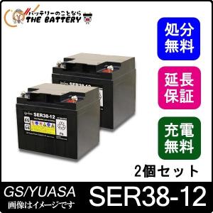 GSユアサ SER38-12 GSユアサ ( ボルトナットタイプ ) 産業用 国産