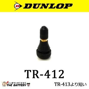 DUNLOP（ダンロップ） バイク用 バルブ 208257 TL-VALVE TR-412 : MOTO