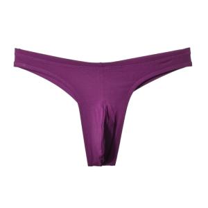 Tバック メンズ 下着 ビキニ セクシー 下着...の詳細画像2