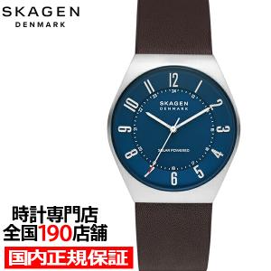 SKAGEN スカーゲン RYLE ライル SKW3000 レディース 腕時計