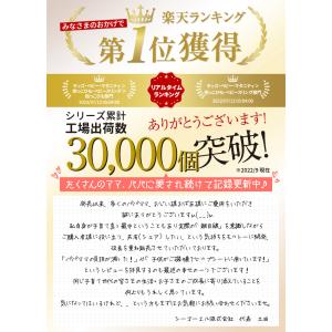 抱っこ紐 ヒップシート 抱っこひも 【保育士&...の詳細画像1