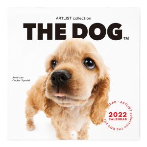 THE DOG 2022年 カレンダー 大判サイズ（アメリカンコッカースパニエル）