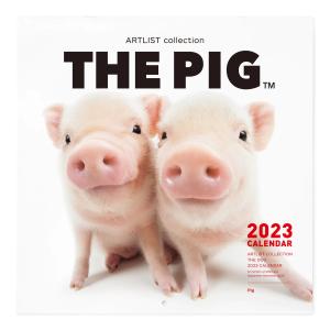 2023年 カレンダー 大判サイズ