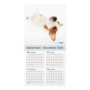 THE DOG 2026年 カレンダー 大判サ...の詳細画像2