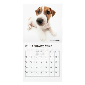 THE DOG 2026年 カレンダー 大判サ...の詳細画像3