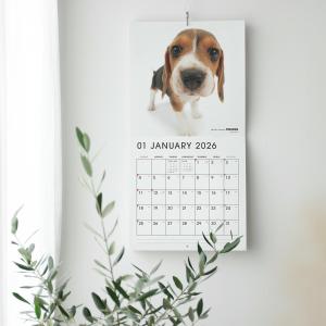THE DOG 2026年 カレンダー 大判サ...の詳細画像5