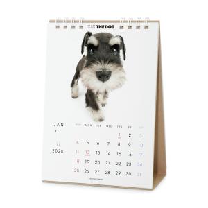 THE DOG 2026年 卓上カレンダー(ミ...の詳細画像1