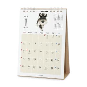 THE DOG 2026年 卓上カレンダー(ミ...の詳細画像2