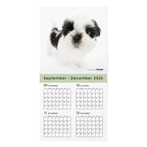 THE DOG 2027年 カレンダー 大判サ...の詳細画像1