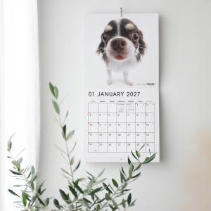 THE DOG 2027年 カレンダー 大判サ...の詳細画像5