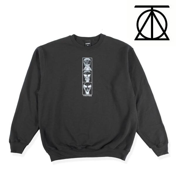 SALE THEORIES スウェット　Theories ALIEN EVOLUTION 2 Cre...