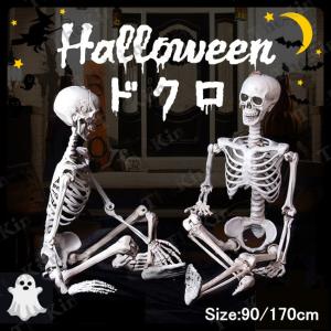 ハロウィン 飾り 骸骨 ドクロ 模型 モデル 人体 骨格 頭蓋骨 スケルトン 幽霊シミュレーション リアル 肝試し 学習用教材 ゴーストハウス パーティー 小道具