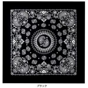【送料無料】 ラージ サイズ バンダナ ペイズ...の詳細画像1