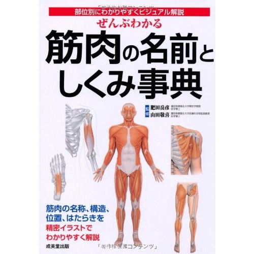 ぜんぶわかる筋肉の名前としくみ事典―部位別にわかりやすくビジュアル解説