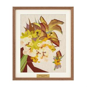 キャラメルブラウン Ｍ