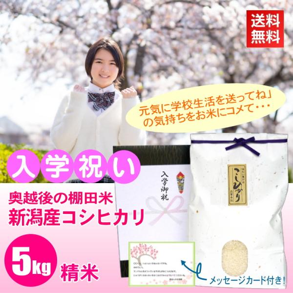 入学祝い プレゼント お米 5kg 新潟産コシヒカリ 精米 白米 メッセージカード付き 棚田米 高級...