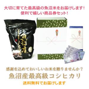 入学祝い 商品券 / JCB ギフト券 300...の詳細画像1