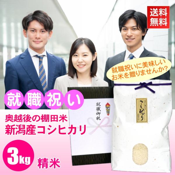 就職祝い プレゼント お米 3kg 新潟産コシヒカリ 精米 棚田米 高級銘柄米 新潟米 人気 お礼の...