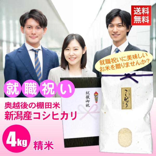 就職祝い プレゼント お米 4kg 新潟産コシヒカリ 精米 棚田米 高級銘柄米 新潟米 人気 お礼の...