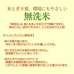 就職祝い 商品券 / JCB ギフト券 300...の詳細画像5