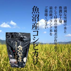 香典返し 法事のお返し 半返し 魚沼産コシヒカ...の詳細画像3