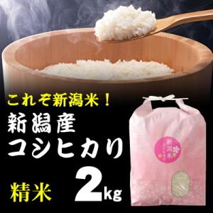 精米 棚田米 新潟産コシヒカリ 2kg / ごはんソムリエ 笹川正嗣 厳選 新潟米 / 奥胎内山麓の...
