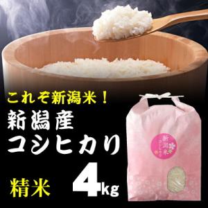 精米 棚田米 新潟産コシヒカリ 4kg / ごはんソムリエ 笹川正嗣 厳選 新潟米 / 奥胎内山麓の...