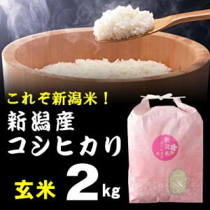 玄米 棚田米 新潟産コシヒカリ 2kg  米 お米 / 高級銘柄米 新潟県産 令和5年産 新米 / ...