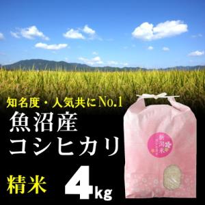 精米 魚沼産コシヒカリ 4kg / ごはんソムリエ 笹川正嗣 厳選 魚沼米 / 最高級銘柄 令和７年...