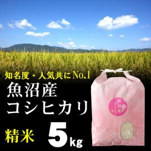 精米 魚沼産コシヒカリ 5kg / ごはんソムリエ 笹川正嗣 厳選 魚沼米 / 最高級銘柄 令和７年...