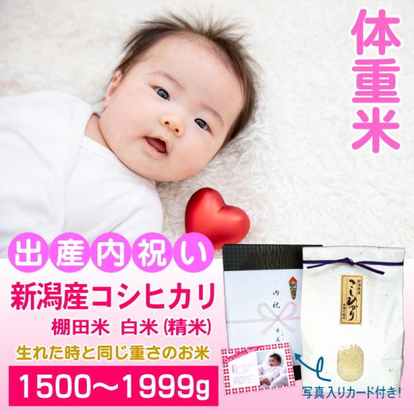出産内祝い 体重米 1500〜1999グラム 人気 新潟産コシヒカリ 白米 精米 メッセージカード付...