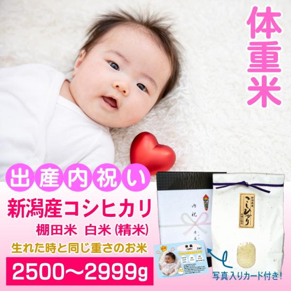 出産内祝い 体重米 2500〜2999グラム 人気 新潟産コシヒカリ 白米 精米 メッセージカード付...
