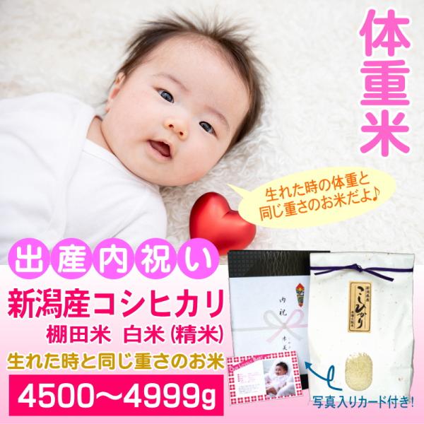 出産内祝い 体重米 4500〜4999グラム 人気 新潟産コシヒカリ 白米 精米 メッセージカード付...
