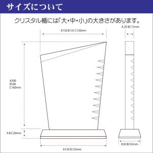 名入れ クリスタル 写真入り 表彰盾 DP-2...の詳細画像3