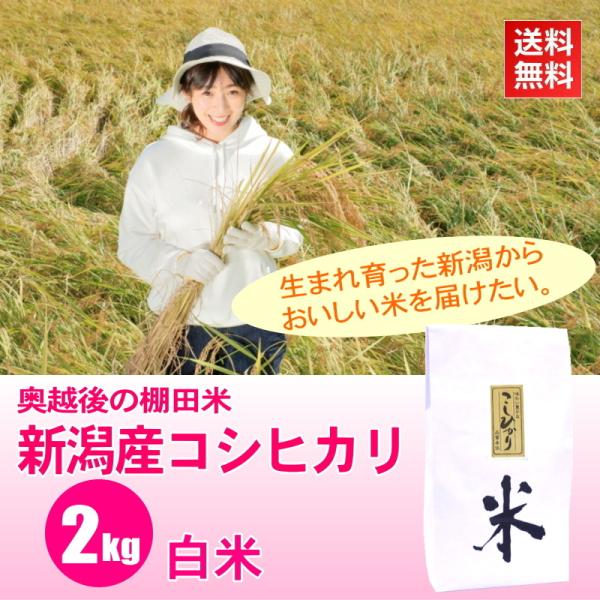 新米 米 2kg 棚田米 新潟産コシヒカリ 白米 / ごはんソムリエ 笹川正嗣 厳選 新潟米 / 奥...