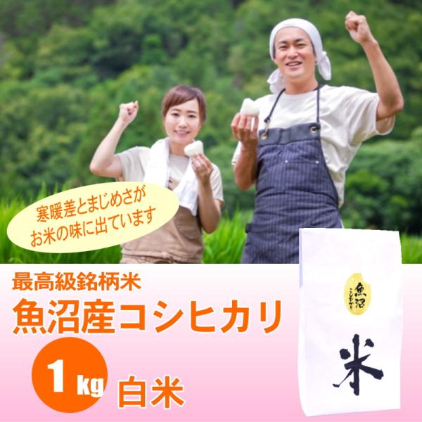 米 1kg 魚沼産コシヒカリ 白米 / ごはんソムリエ 笹川正嗣 厳選 魚沼米 / 最高級銘柄 令和...