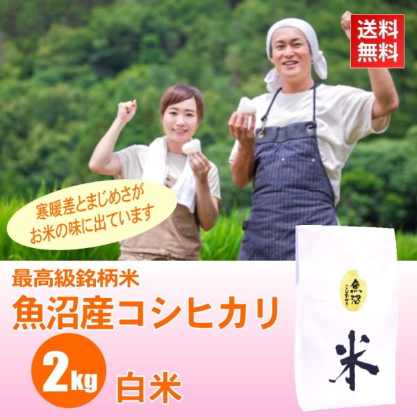 米 2kg 魚沼産コシヒカリ 白米 / ごはんソムリエ 笹川正嗣 厳選 魚沼米 / 最高級銘柄 令和...