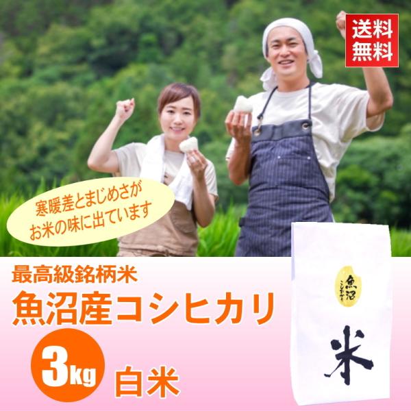 米 3kg 魚沼産コシヒカリ 白米 / ごはんソムリエ 笹川正嗣 厳選 魚沼米 / 最高級銘柄 令和...