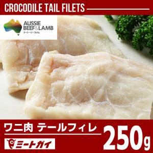 ワニ肉 ヒレ/フィレ ステーキ 250g クロコダイルミート