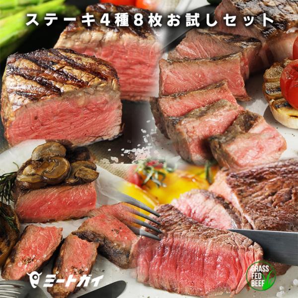 グラスフェッドビーフ 4種類ステーキ8枚セット スパイスのおまけ付き 送料無料　/　バーベキューセッ...