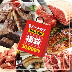 毎月1日限定！数量限定！ （送料無料）ミートガイ 福袋　1万円 お肉 2.5kgのお肉が詰まったとってもお得な福袋！早い者勝ちです！