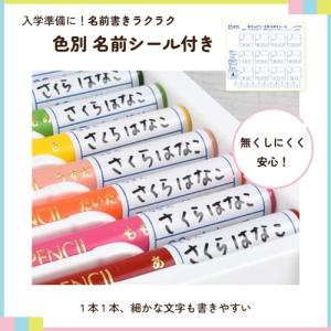 サクラクレパス 色鉛筆 12色 小学生文具 G...の詳細画像3