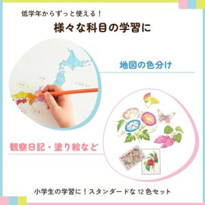 サクラクレパス 色鉛筆 12色 小学生文具 G...の詳細画像4