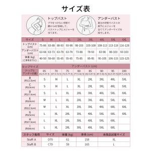 VEIMIA 和装ブラ【2点セット】胸つぶし ...の詳細画像2